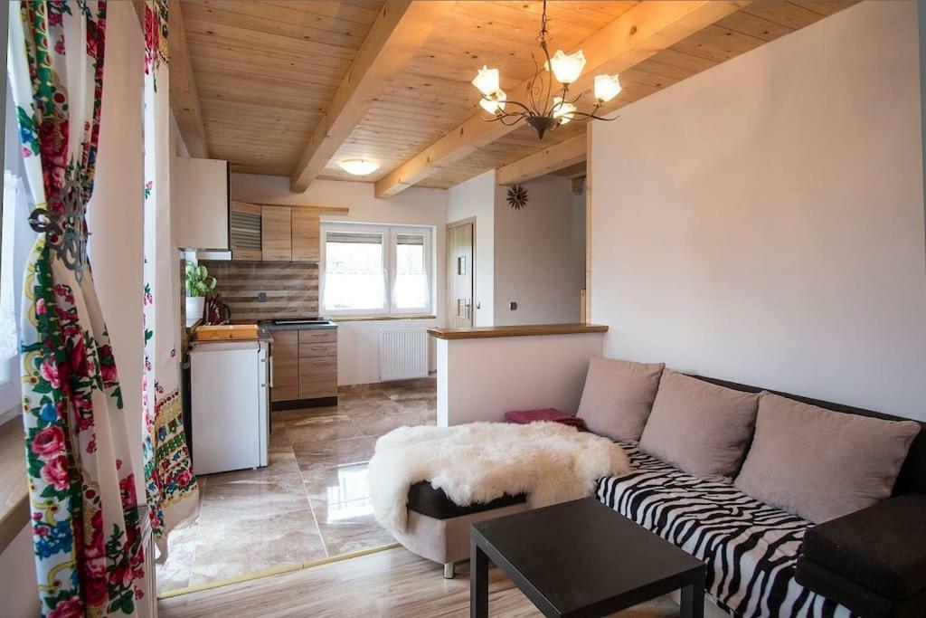 Apartamenty "Pod Tatrami" 扎科帕内 外观 照片