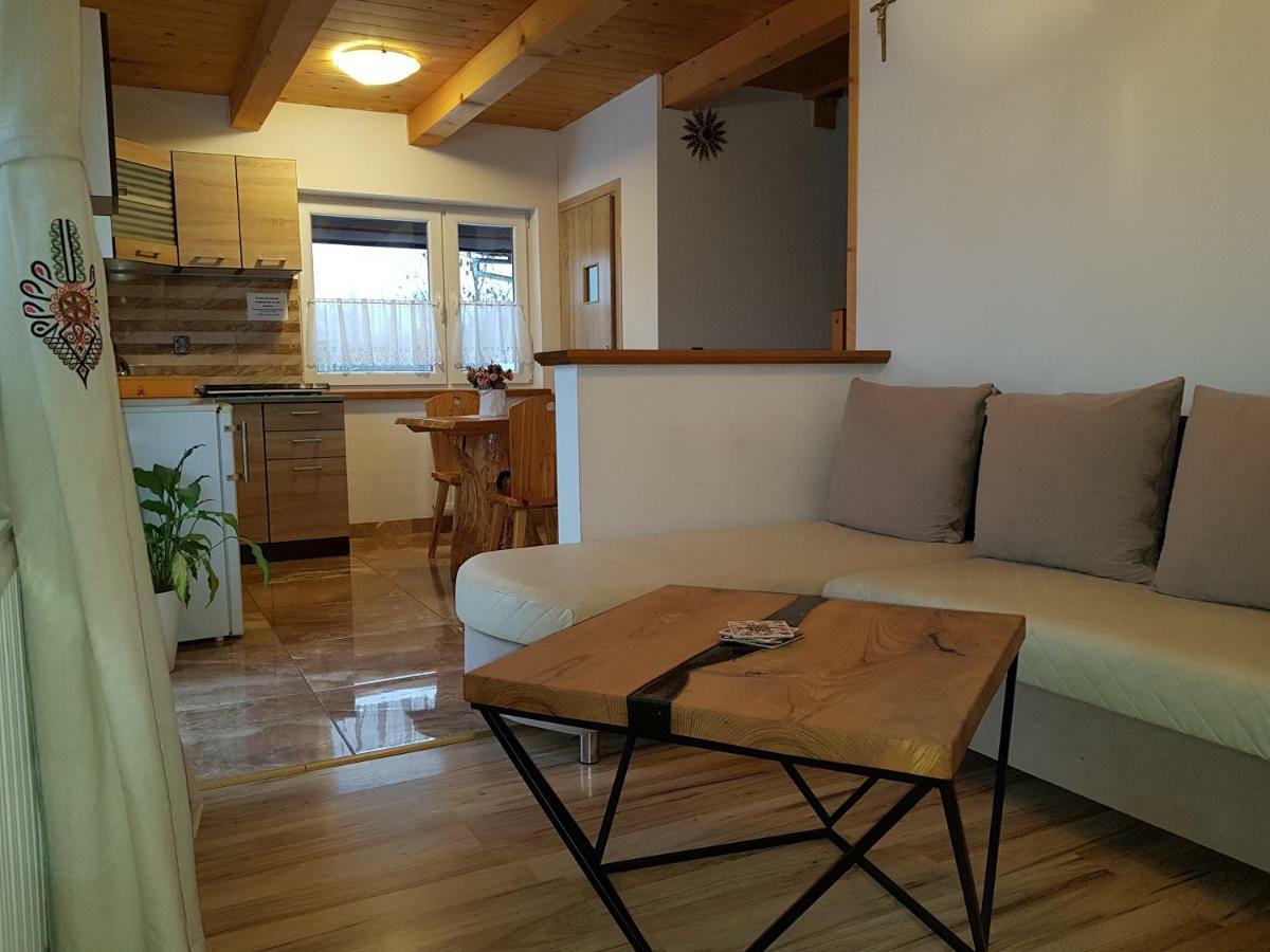 Apartamenty "Pod Tatrami" 扎科帕内 外观 照片