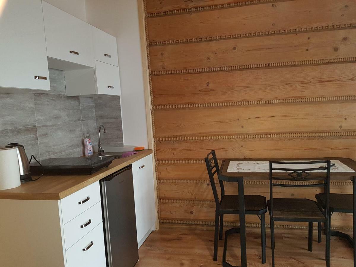 Apartamenty "Pod Tatrami" 扎科帕内 外观 照片