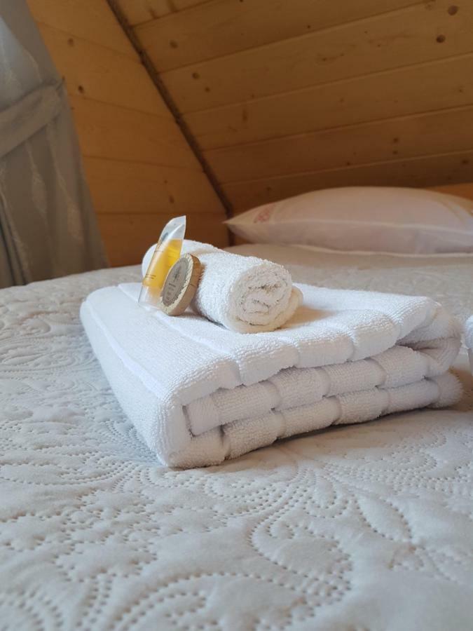 Apartamenty "Pod Tatrami" 扎科帕内 外观 照片