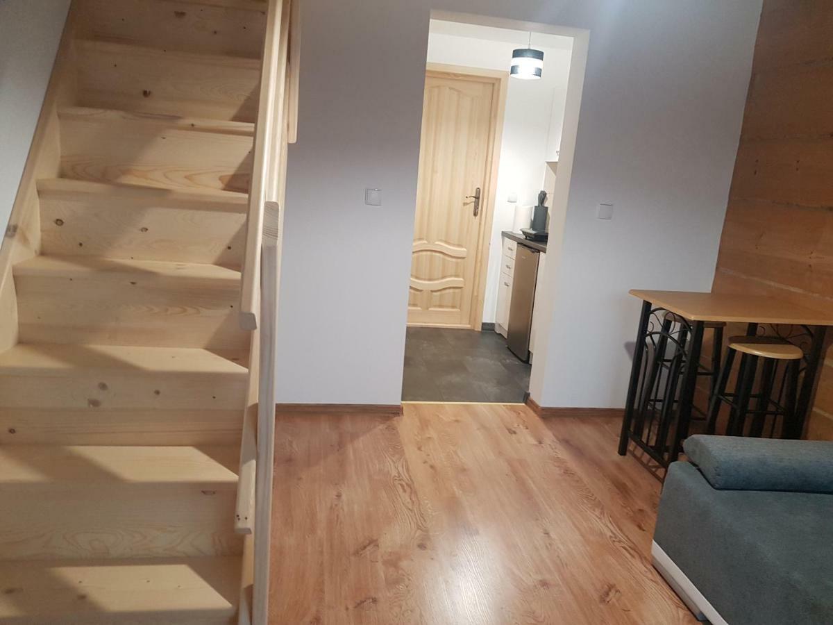 Apartamenty "Pod Tatrami" 扎科帕内 外观 照片