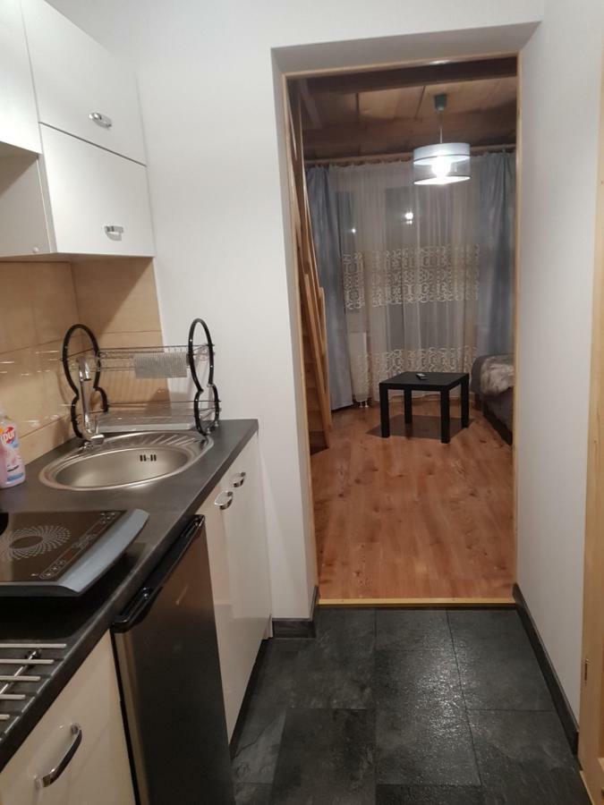 Apartamenty "Pod Tatrami" 扎科帕内 外观 照片